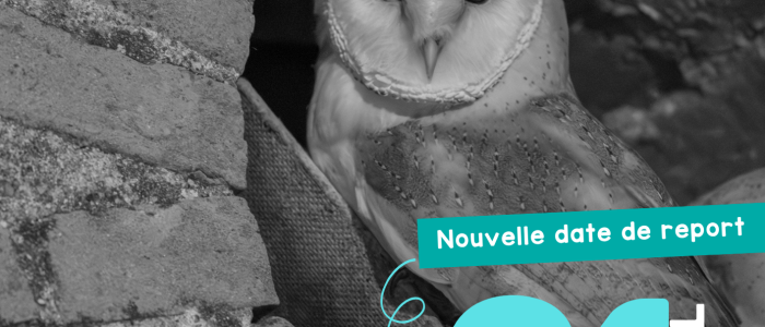 SORTIE AUTOUR DES RAPACES DE CORNUSSE